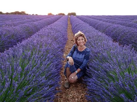 Campos de lavanda de Brihuega (La Alcarria, Guadalajara) Campos de lavanda de Brihuega (La Alcarria, Guadalajara)