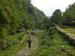 ANNAPURNA BASE CAMP ETAPA 2: GHOREPANI (2860 m) - CHOMRONG (2170 m) ANNAPURNA BASE CAMP ETAPA 2: GHOREPANI (2860 m) - CHOMRONG (2170 m)