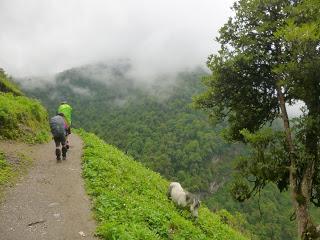 ANNAPURNA BASE CAMP ETAPA 2: GHOREPANI (2860 m) - CHOMRONG (2170 m) ANNAPURNA BASE CAMP ETAPA 2: GHOREPANI (2860 m) - CHOMRONG (2170 m)