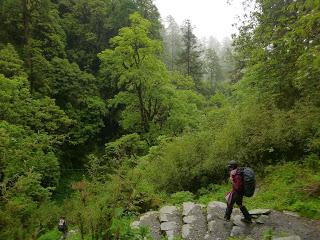 ANNAPURNA BASE CAMP ETAPA 2: GHOREPANI (2860 m) - CHOMRONG (2170 m) ANNAPURNA BASE CAMP ETAPA 2: GHOREPANI (2860 m) - CHOMRONG (2170 m)