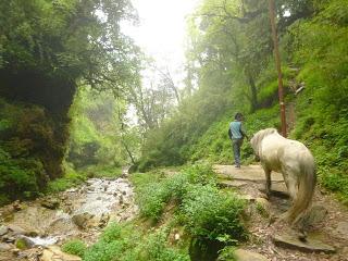 ANNAPURNA BASE CAMP ETAPA 2: GHOREPANI (2860 m) - CHOMRONG (2170 m) ANNAPURNA BASE CAMP ETAPA 2: GHOREPANI (2860 m) - CHOMRONG (2170 m)