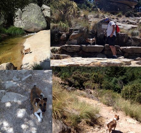 SENDERISMO POR LA PEDRIZA HASTA EL REFUGIO GINER DE LOS RÍOS