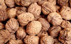 nueces