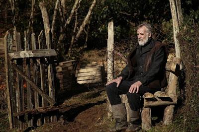 Mandarinas Mandarinas