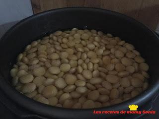ALTRAMUCES O CHOCHITOS COMO LOS LLAMAMOS EN MI TIERRA ALTRAMUCES O CHOCHITOS COMO LOS LLAMAMOS EN MI TIERRA