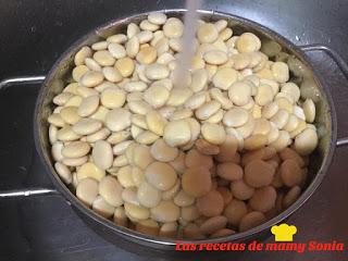 ALTRAMUCES O CHOCHITOS COMO LOS LLAMAMOS EN MI TIERRA ALTRAMUCES O CHOCHITOS COMO LOS LLAMAMOS EN MI TIERRA