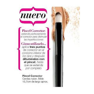 BROCHAS MAQUILLAJE BROCHAS MAQUILLAJE