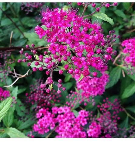 sDIOSAS 107 # lOOKS oF tHE dAY eSCAPADA #nORUEGA sDIOSAS 107 # lOOKS oF tHE dAY eSCAPADA #nORUEGA