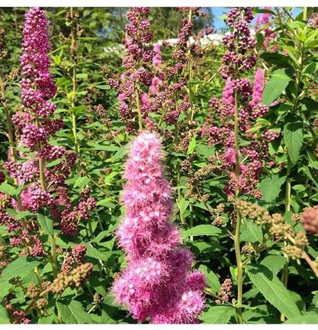 sDIOSAS 107 # lOOKS oF tHE dAY eSCAPADA #nORUEGA sDIOSAS 107 # lOOKS oF tHE dAY eSCAPADA #nORUEGA