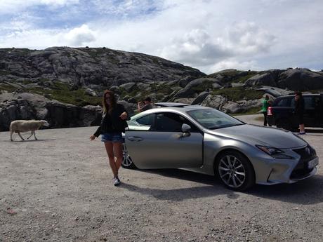 sDIOSAS 107 # lOOKS oF tHE dAY eSCAPADA #nORUEGA sDIOSAS 107 # lOOKS oF tHE dAY eSCAPADA #nORUEGA