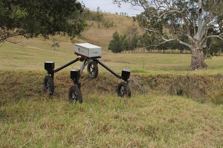 SwagBot: el primer robot autónomo de control de ganado
