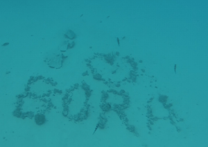 Viajar a Bora Bora – Rumbo al paraíso BB11
