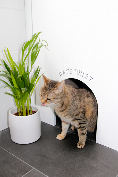 antes-y-depues-reforma-bano antes-y-depues-reforma-bano