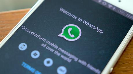 Videollamadas llegarán a WhatsApp en 2017: reporte Videollamadas llegarán a WhatsApp en 2017: reporte