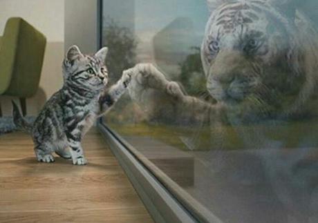 Mira en el espejo, qué es lo que ves? Mira en el espejo, qué es lo que ves?