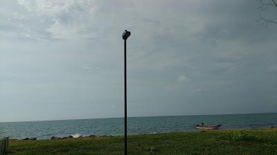 BLOG FOTOGRAFÍA (PARTE 10: CAMINANDO CARTAGENA... MAR AVENIDA SANTANDER)