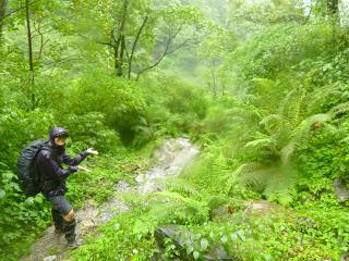 ANNAPURNA BASE CAMP ETAPA 5: CHOMRONG (2170 m) - POKHARA (820 m)