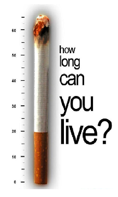 Conviviendo con un asesino Conviviendo con un asesino