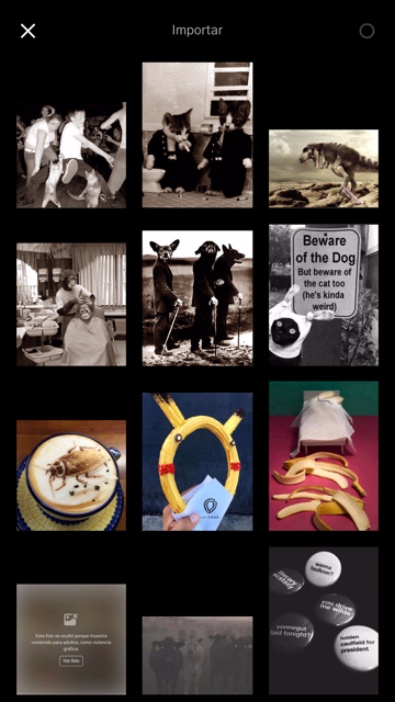 La mejor app para editar fotos del momento es VSCO image3