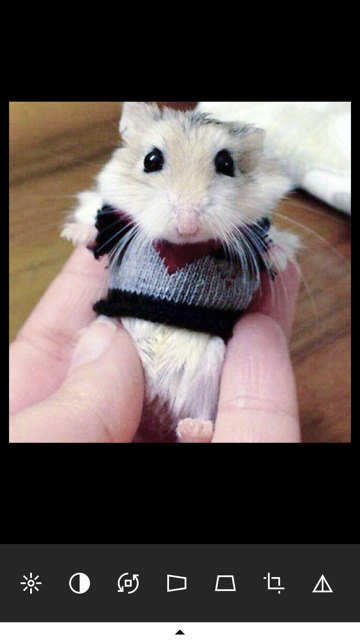 La mejor app para editar fotos del momento es VSCO image2