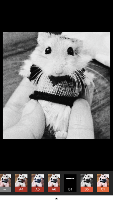 La mejor app para editar fotos del momento es VSCO vsco la mejor app de fotos