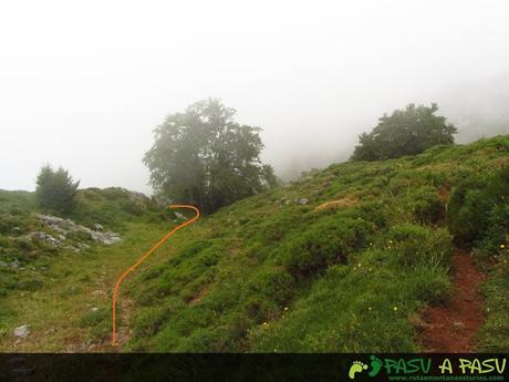 Árbol junto al que se gira para seguir el sendero que baja a Llabeño