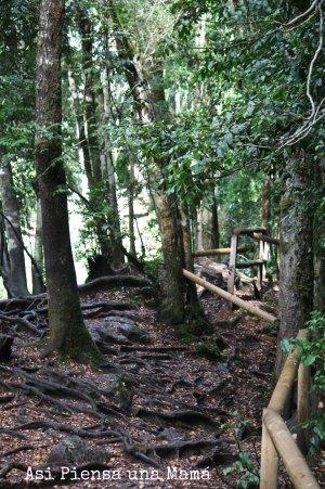 escaleras-de-troncos