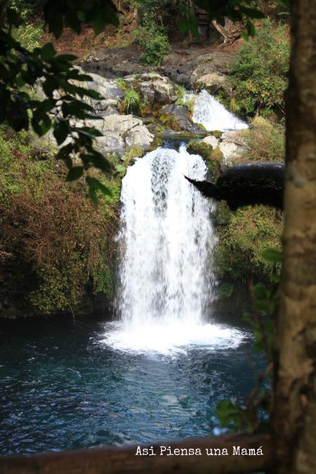 Maravillas de la IX Región: Ojos Del Caburga ojosdecaburga-cascada