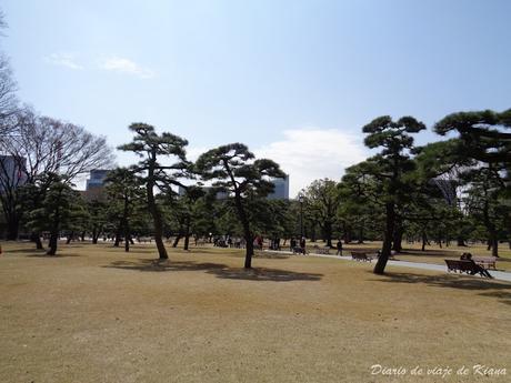 Viaje a Japón. Día 4. Tokyo: Palacio imperial, Meiji Jingu, parque Yoyogi, Takeshita Dori, Omotesando, Shibuya, Odaiba