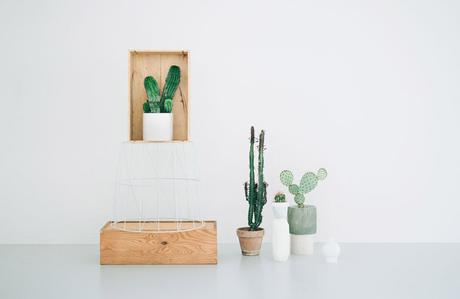 ¿te gusta decorar con cactus y suculentas? No te pierdas esta concept store