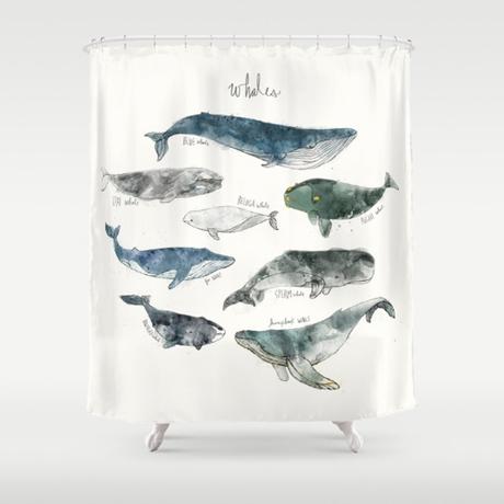 arte, diseño y cortinas de ducha