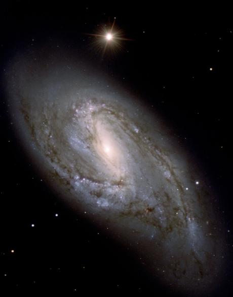 Una belleza polvorienta Una belleza polvorienta