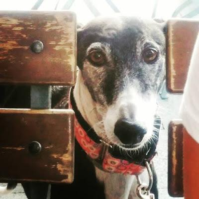 Cómo ser mujer + Balto Cómo ser mujer + Balto