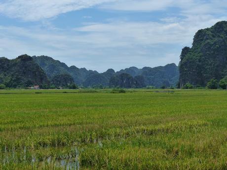 Tam Coc por libre