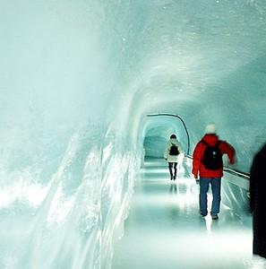 Palacio de hielo 10 cosas que no te puedes perder en Interlagos
