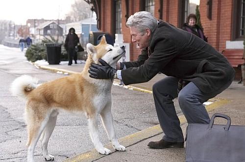 DdUAaC: Hachiko (2009)