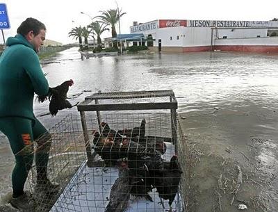 Jerez y el temporal que hemos pasado