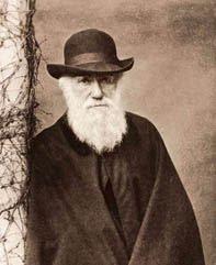 Exposición: La evolución de Darwin Exposición: La evolución de Darwin
