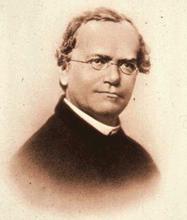 Biografía de Mendel (2ª parte). Biografía de Mendel (2ª parte).