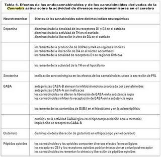 A la droga dile... ¿sí? A la droga dile... ¿sí?