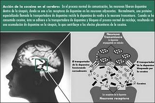 A la droga dile... ¿sí? A la droga dile... ¿sí?