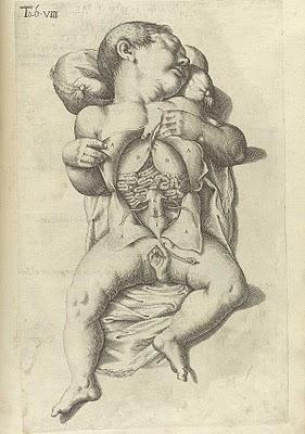 La anatomía de un embarazo en excelentes ilustraciones de 1626