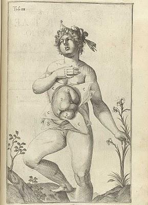 La anatomía de un embarazo en excelentes ilustraciones de 1626