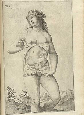 La anatomía de un embarazo en excelentes ilustraciones de 1626