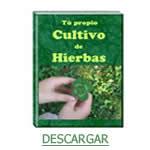Libros de medicina natural Elaborar tus propios remedios naturales
