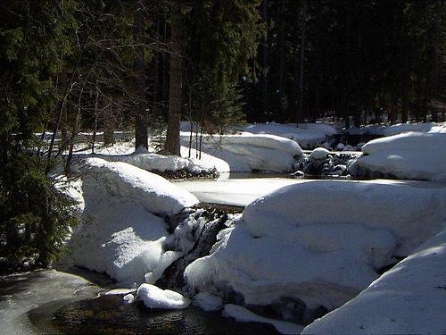 Borovets