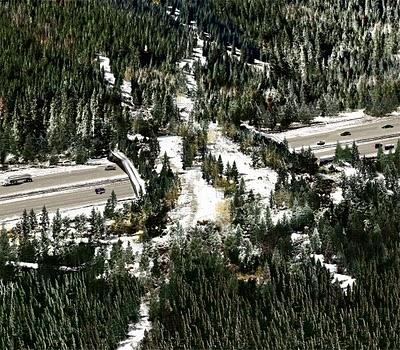 ARC International Wildlife Crossing Infrastructure Design Competition: Finalists ARC International Wildlife Crossing Infrastructure Design Competition: Finalists