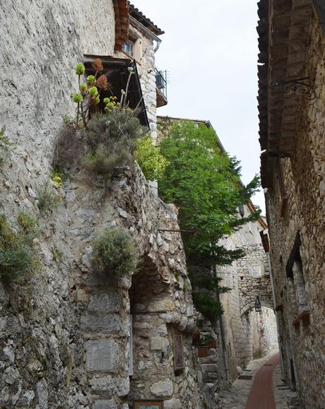 Otro pueblito de cuentos: Eze (Sur de Francia IX)