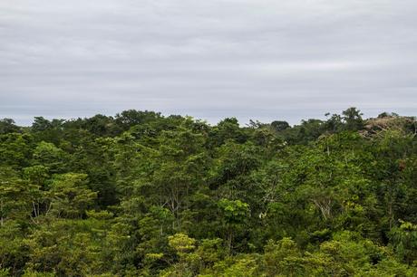 Estado do Acre, Amazonia Brasileña
