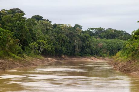 Estado do Acre, Amazonia Brasileña